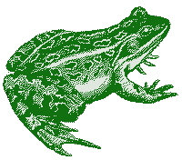 a big, green, linocut-style image of a frog
